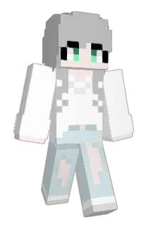 MMMJHHS Minecraft avatar full body