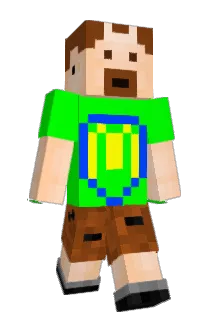MO979 Minecraft avatar full body