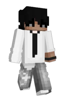 MRFlexio__ Minecraft avatar full body