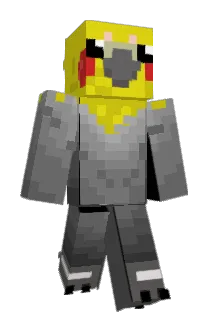 MRGOOS Minecraft avatar full body