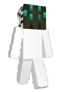 MRMobro Minecraft avatar full body