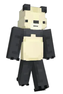 MR_BOB_333 Minecraft avatar full body