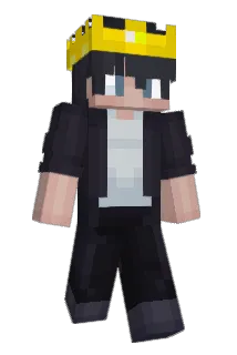 MR_C91 Minecraft avatar full body