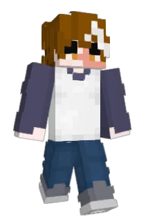 MTTHJC Minecraft avatar full body