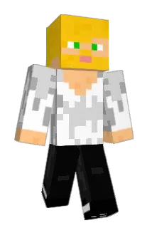 M_N_L Minecraft avatar full body
