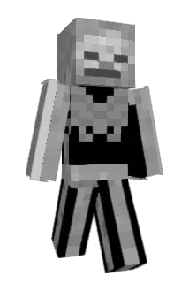 M_Squelette Minecraft avatar full body