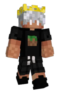 MaFia___ Minecraft avatar full body
