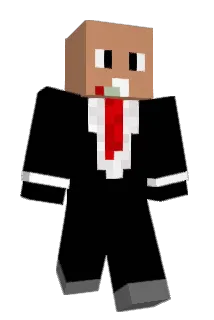 MaGU21323 Minecraft avatar full body