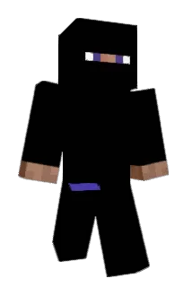 Maagden Minecraft avatar full body