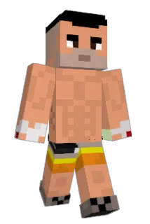 Maajo Minecraft avatar full body