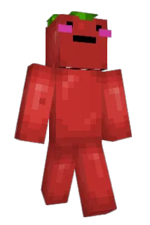 Mabongo Minecraft avatar full body