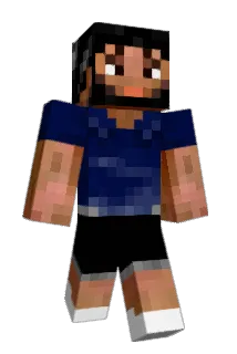 MacFli Minecraft avatar full body