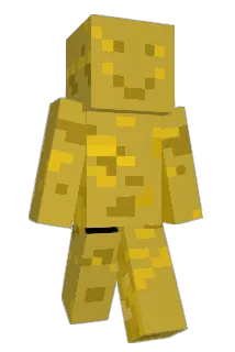 Macadamian24 Minecraft avatar full body