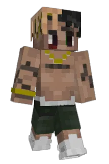 Macam41 Minecraft avatar full body