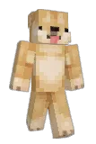 Mace_413 Minecraft avatar full body