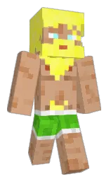 Custom render preview