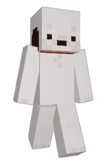 MadiNation Minecraft avatar full body