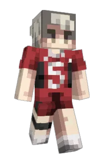 Madski1lz Minecraft avatar full body