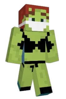 Mady1515 Minecraft avatar full body