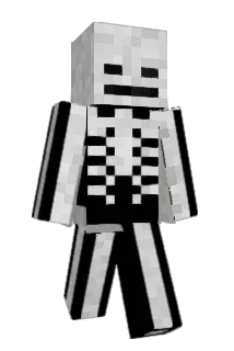 MaettiCoMine Minecraft avatar full body