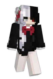 Maex1303 Minecraft avatar full body