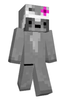 MaggiTheRaccon Minecraft avatar full body