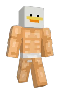MagicFoxTM1 Minecraft avatar full body