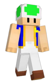 MaikUnge Minecraft avatar full body