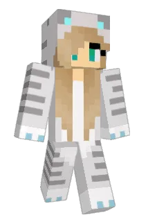 MajorSkillage14 Minecraft avatar full body