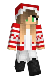 Majormistrz Minecraft avatar full body