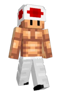 MalYShuz Minecraft avatar full body