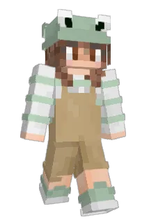 Mani2206 Minecraft avatar full body
