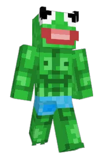 Mani2401 Minecraft avatar full body