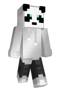 Mantas221 Minecraft avatar full body