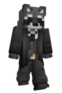 Mapacheus Minecraft avatar full body