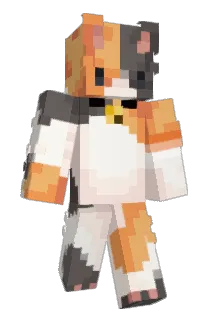 Maracc02 Minecraft avatar full body