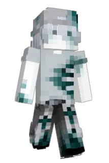 MarioRobin2 Minecraft avatar full body