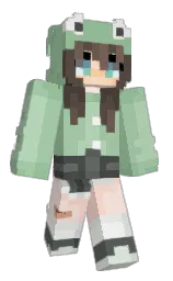 Custom render preview