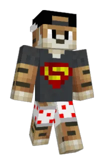 Mashaner Minecraft avatar full body