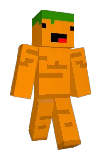Mastercarrottop Minecraft avatar full body