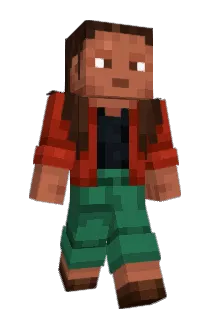 Mat3414 Minecraft avatar full body