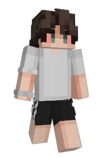 Mat4x Minecraft avatar full body