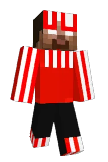 MatJerCZ Minecraft avatar full body