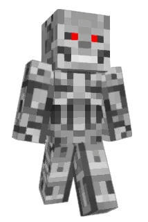 Math1809 Minecraft avatar full body