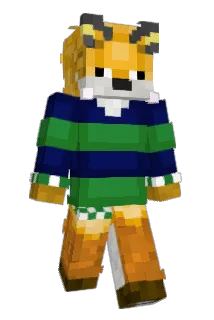 Math_Wisard Minecraft avatar full body
