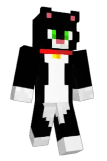 Matheo974st Minecraft avatar full body
