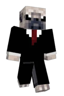 Mathijs123_ Minecraft avatar full body
