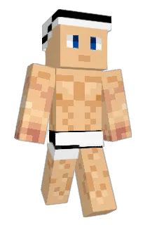 MatsHansen Minecraft avatar full body