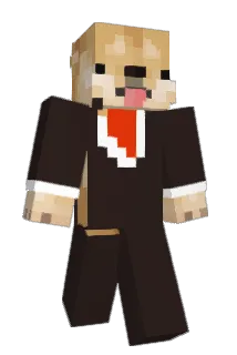 MattDogeTaylor Minecraft avatar full body