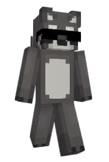 Matthew_200 Minecraft avatar full body